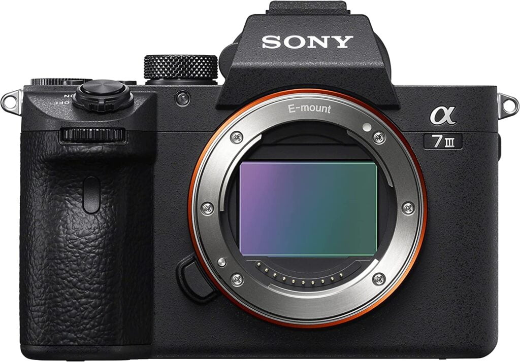 meilleur appareil photo pour les voyages Sony Alpha a7 III